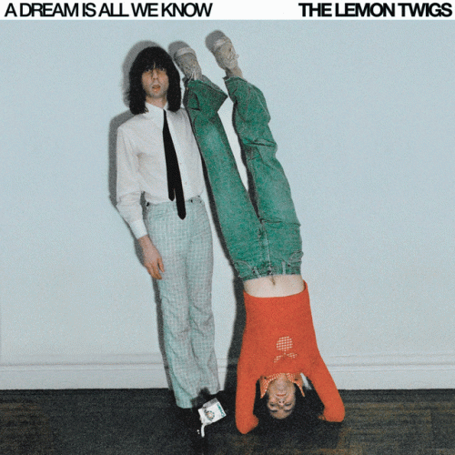 The Lemon Twigs : A Dream Is All We Know